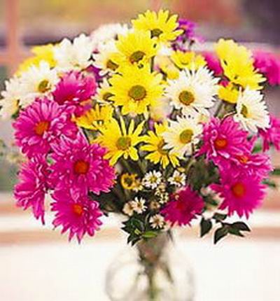 Taipeiflowers Discount flowers for Taiwan