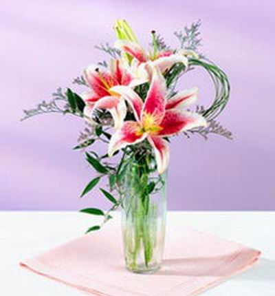 Taipeiflowers Lilies for Taiwan