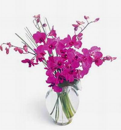 Taipeiflowers Discount flowers for Taiwan