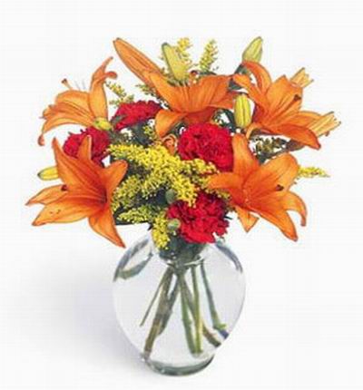 Taipeiflowers Lilies for Taiwan