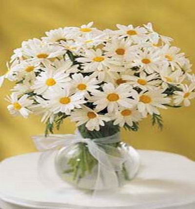 Taipeiflowers Discount flowers for Taiwan