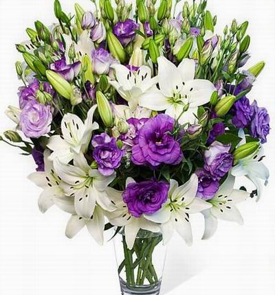 Taipeiflowers Lilies for Taiwan
