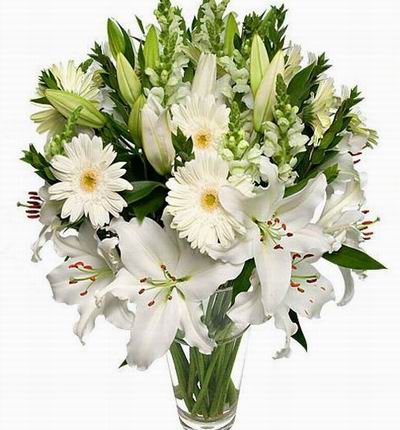 Taipeiflowers Lilies for Taiwan