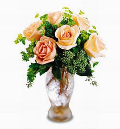 Taipeiflowers Roses for Taiwan