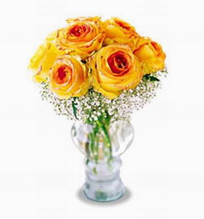 Taipeiflowers Roses for Taiwan