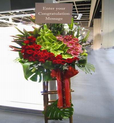 Taipeiflowers Grand Openings for Taiwan