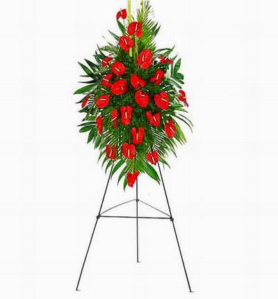 Taipeiflowers Grand Openings for Taiwan