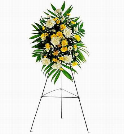 Taipeiflowers Grand Openings for Taiwan