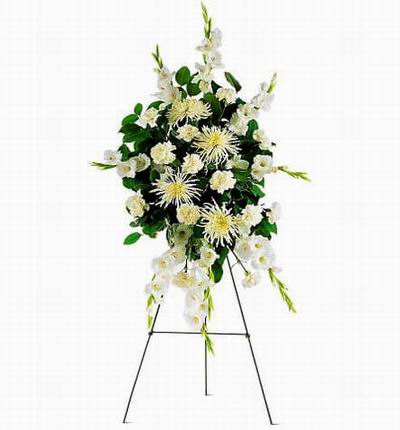 Taipeiflowers Grand Openings for Taiwan