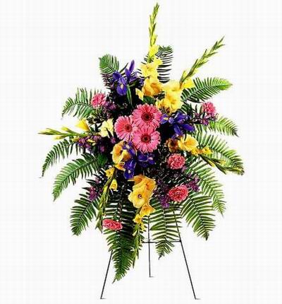 Taipeiflowers Grand Openings for Taiwan