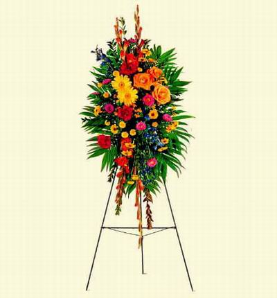 Taipeiflowers Grand Openings for Taiwan