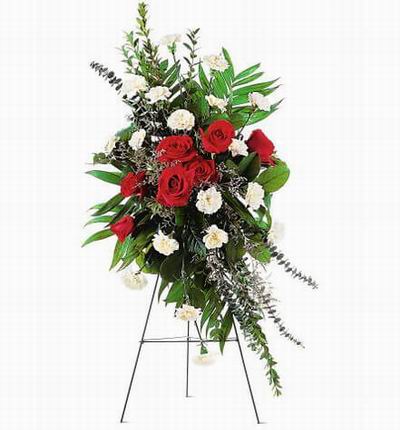 Taipeiflowers Grand Openings for Taiwan