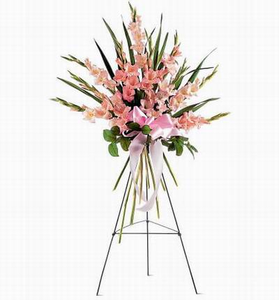 Taipeiflowers Grand Openings for Taiwan