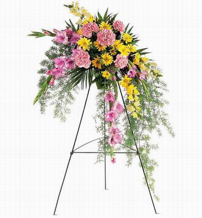Taipeiflowers Grand Openings for Taiwan