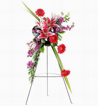 Taipeiflowers Grand Openings for Taiwan
