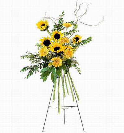 Taipeiflowers Grand Openings for Taiwan