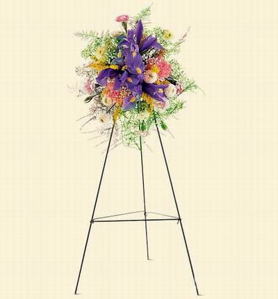 Taipeiflowers Grand Openings for Taiwan