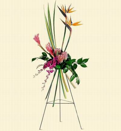 Taipeiflowers Grand Openings for Taiwan