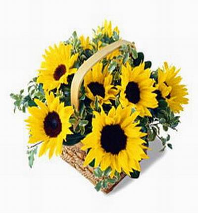 Taipeiflowers Flower baskets for Taiwan