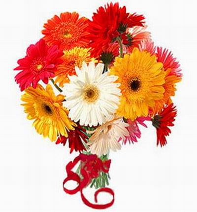 Taipeiflowers Discount flowers for Taiwan