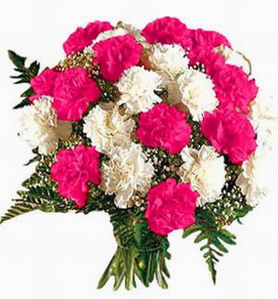 Taipeiflowers Carnations for Taiwan