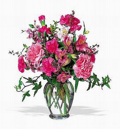 Taipeiflowers Carnations for Taiwan