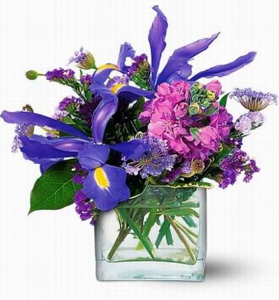Taipeiflowers Mixed bouquets for Taiwan