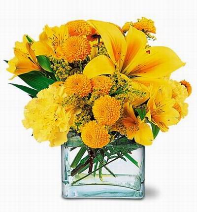 Taipeiflowers Baby new born gifts for Taiwan