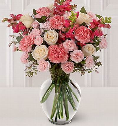 Taipeiflowers Carnations for Taiwan