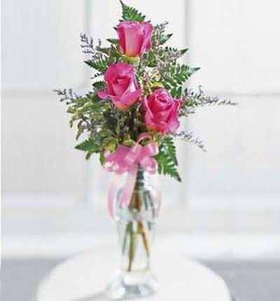Taipeiflowers Roses for Taiwan