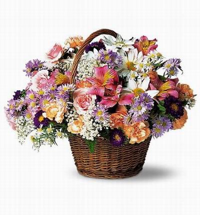 Taipeiflowers Flower baskets for Taiwan