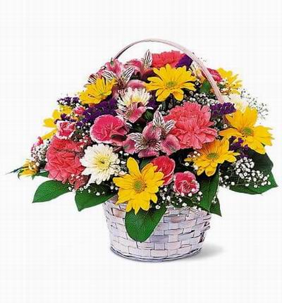Taipeiflowers Flower baskets for Taiwan