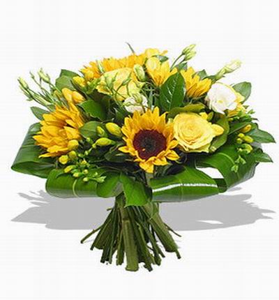 Taipeiflowers Sunflowers for Taiwan