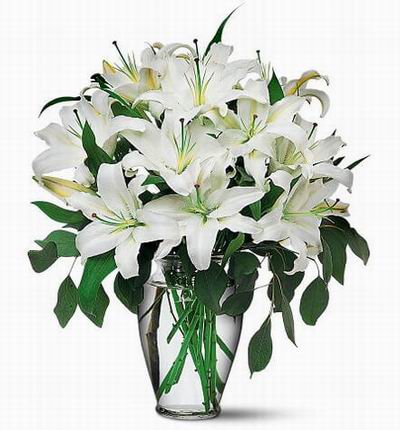 Taipeiflowers Discount flowers for Taiwan