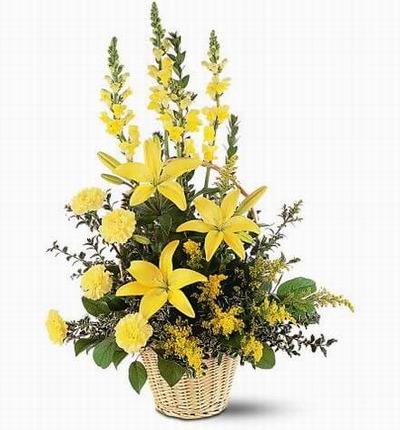 Taipeiflowers Flower baskets for Taiwan