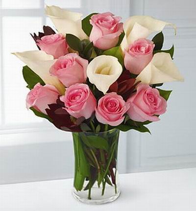 Taipeiflowers Lilies for Taiwan