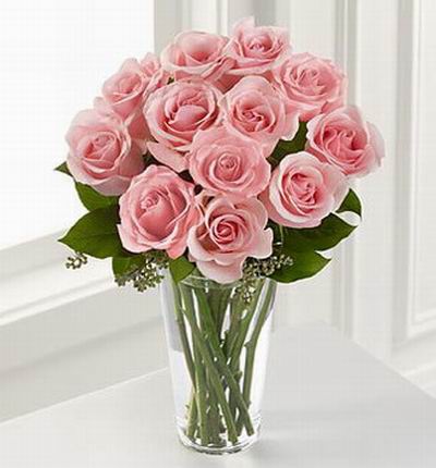 Taipeiflowers Roses for Taiwan