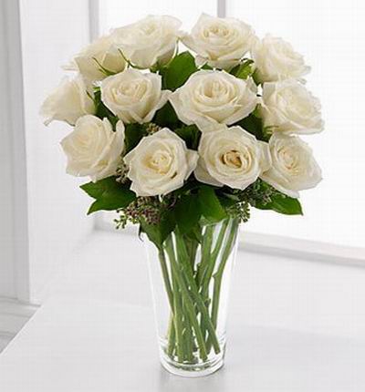 Taipeiflowers Roses for Taiwan