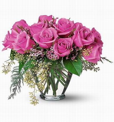 Taipeiflowers Roses for Taiwan