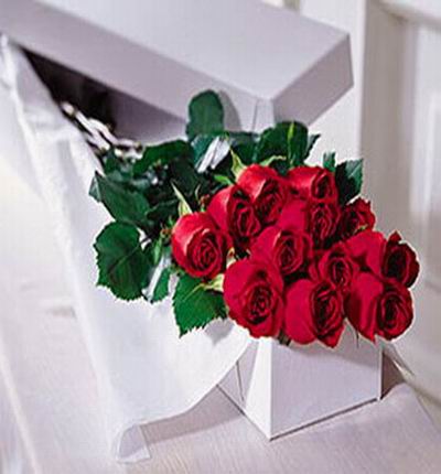 Taipeiflowers Premium flowers for Taiwan