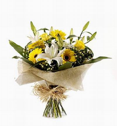 Taipeiflowers Sunflowers for Taiwan