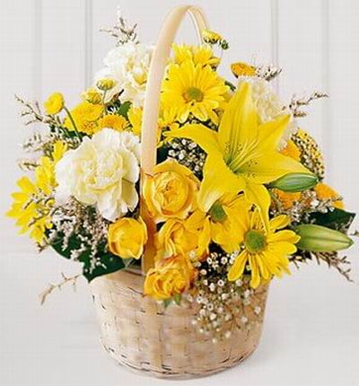Taipeiflowers Baby new born gifts for Taiwan