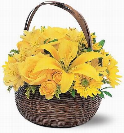 Taipeiflowers Flower baskets for Taiwan