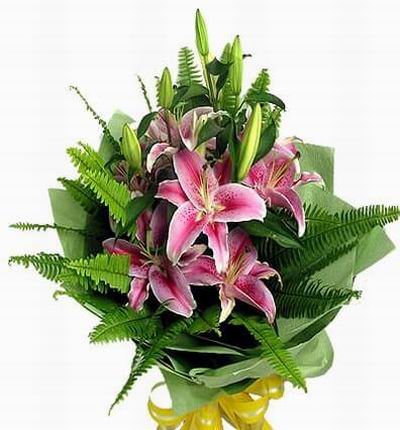 Taipeiflowers Lilies for Taiwan