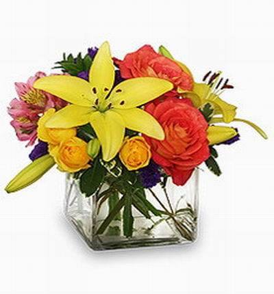 Taipeiflowers Baby new born gifts for Taiwan