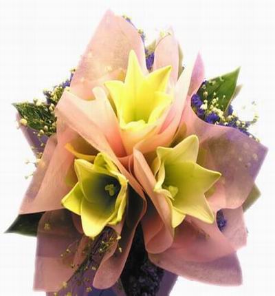 Taipeiflowers Baby new born gifts for Taiwan