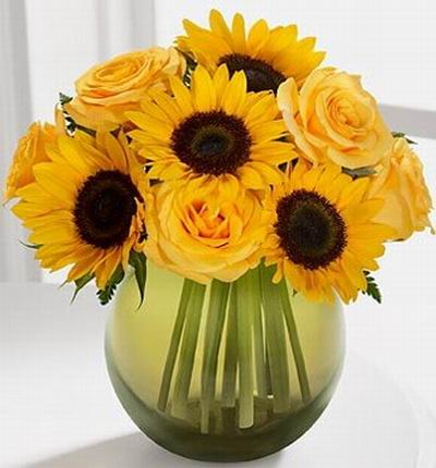 Taipeiflowers Sunflowers for Taiwan