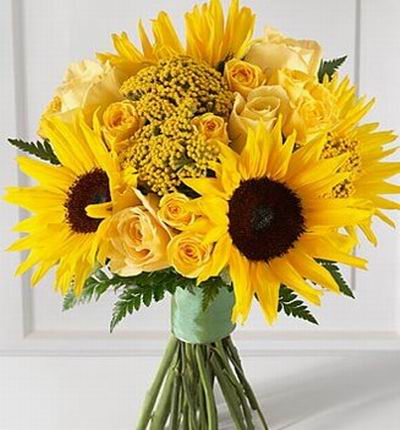 Taipeiflowers Sunflowers for Taiwan