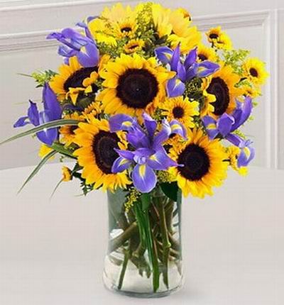 Taipeiflowers Sunflowers for Taiwan