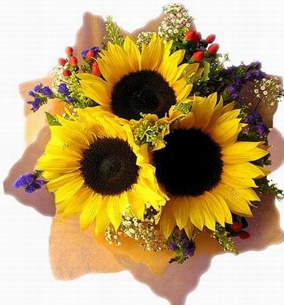 Taipeiflowers Baby new born gifts for Taiwan
